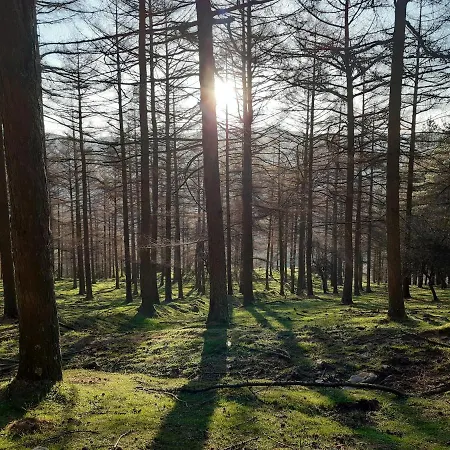 Aingeru Naturaleza Y Montana *